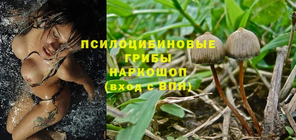 каннабис Медвежьегорск