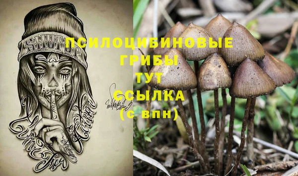 экстази Анжеро-Судженск