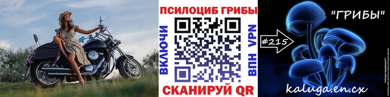Купить  Невель  Галлюциногенные грибы прущие грибы 